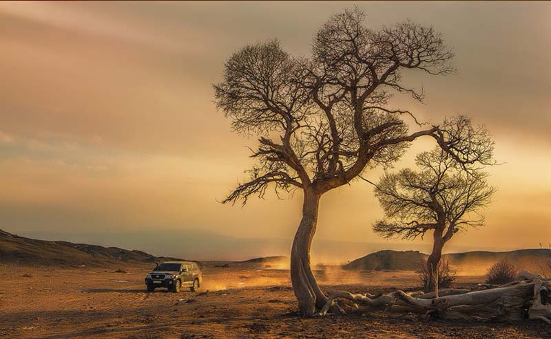 mongolia discovery tours